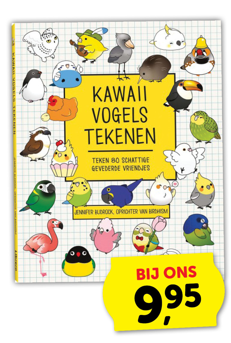 Kawaii tekenen vogels