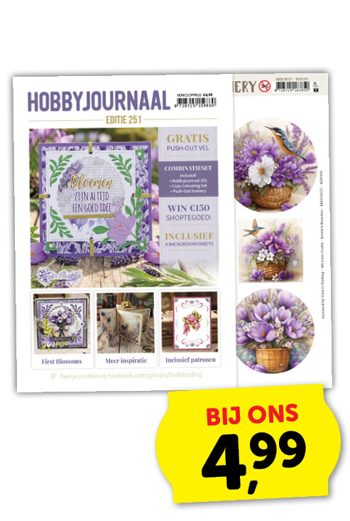 Hobbyjournaal 251