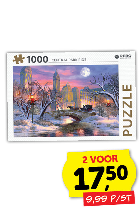 Legpuzzel Central Park Ride