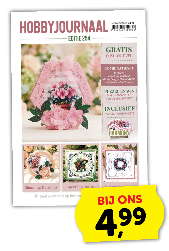 Hobbyjournaal 254